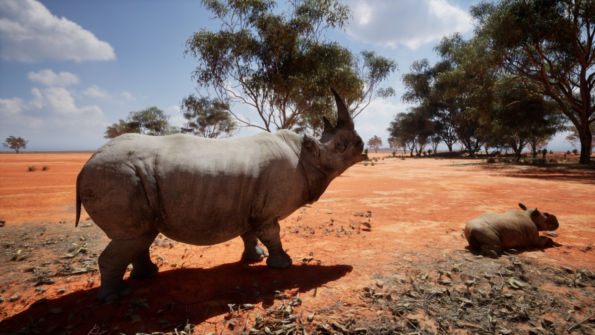 Realistic African Rhinoceros