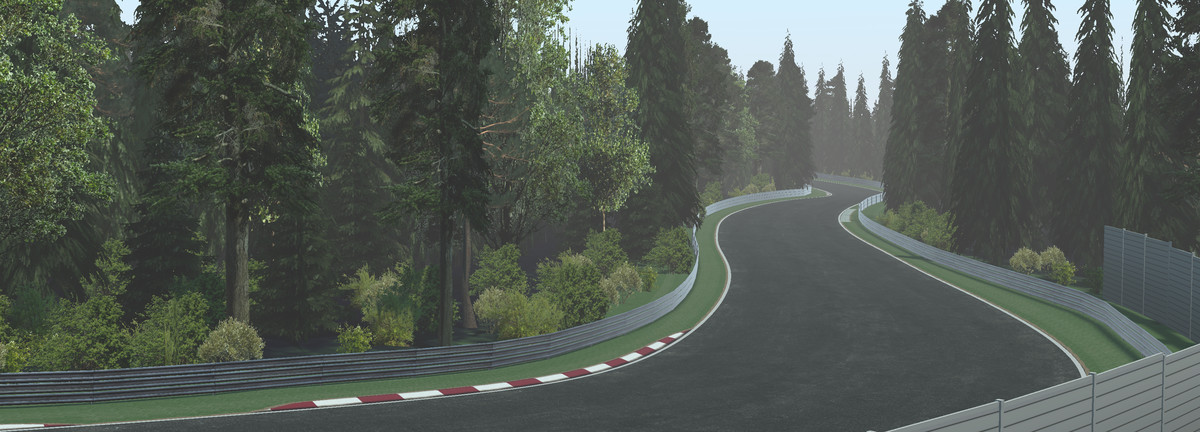 Realistic Race Track Schwarzwald