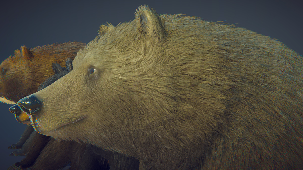 Realistic Bears