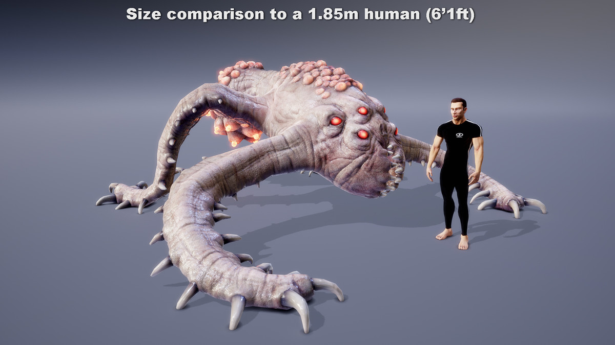 MONSTER: ARANOPLOKIACTUS