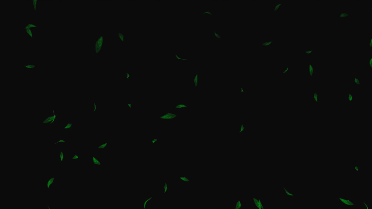 Game VFX - BG Particle Effects