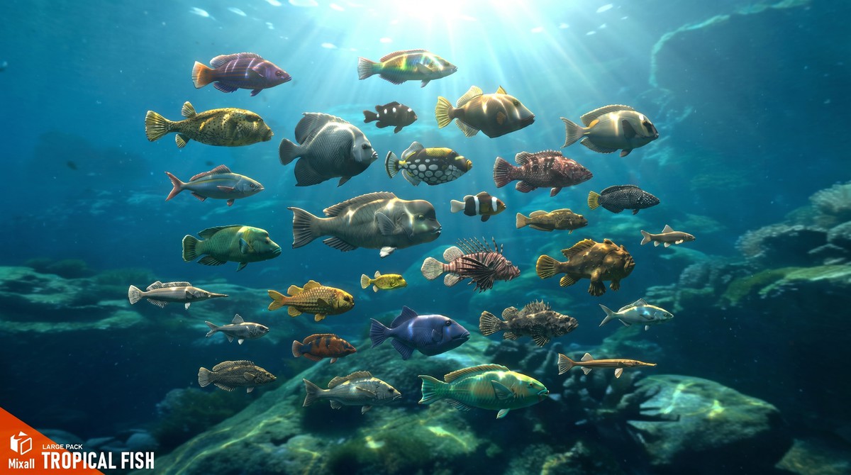 270 fish - Full pack