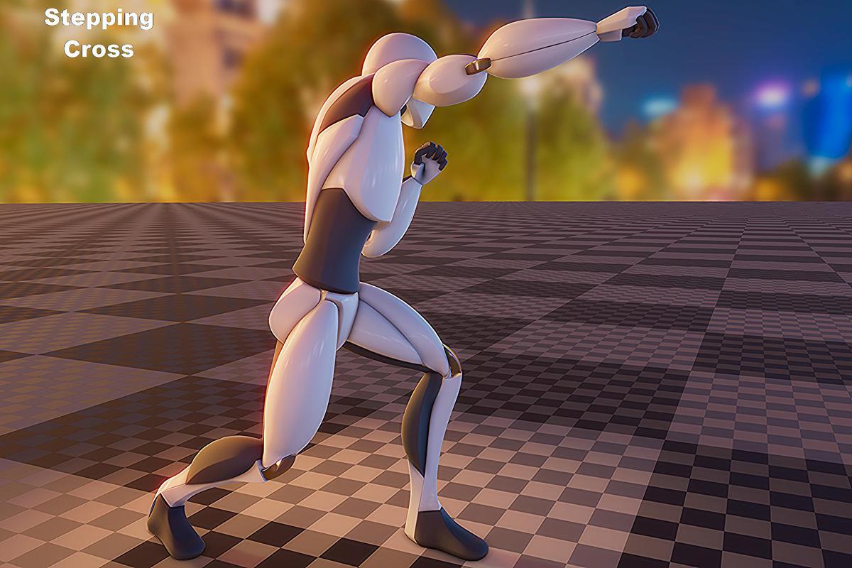 Boxing animation package