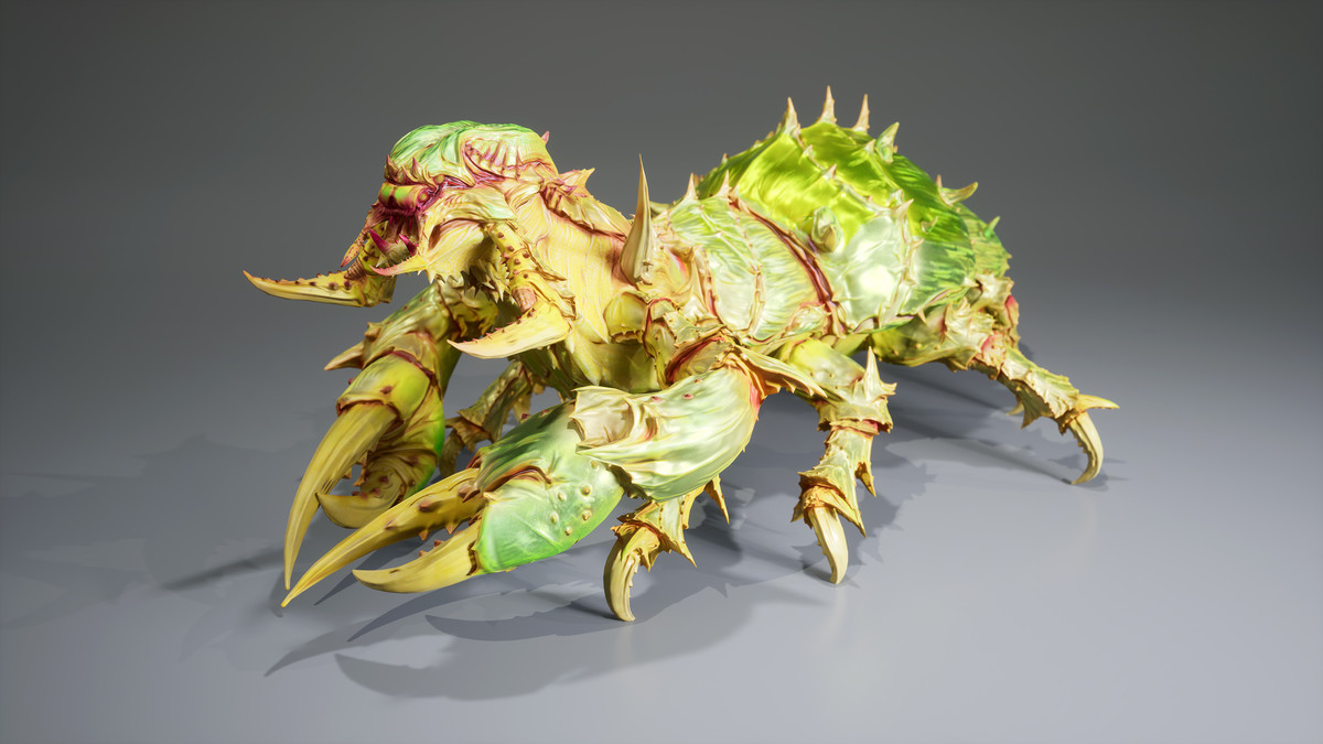 Insect