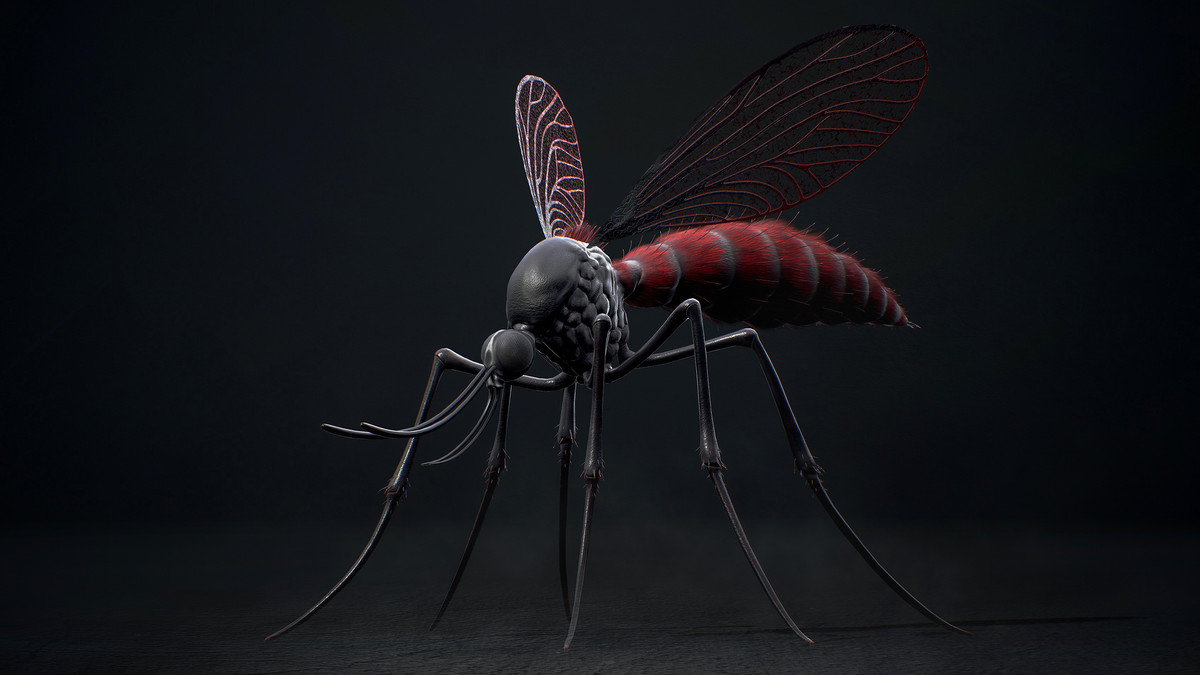 Mosquito Queen - Fantasy land Mosquitoes