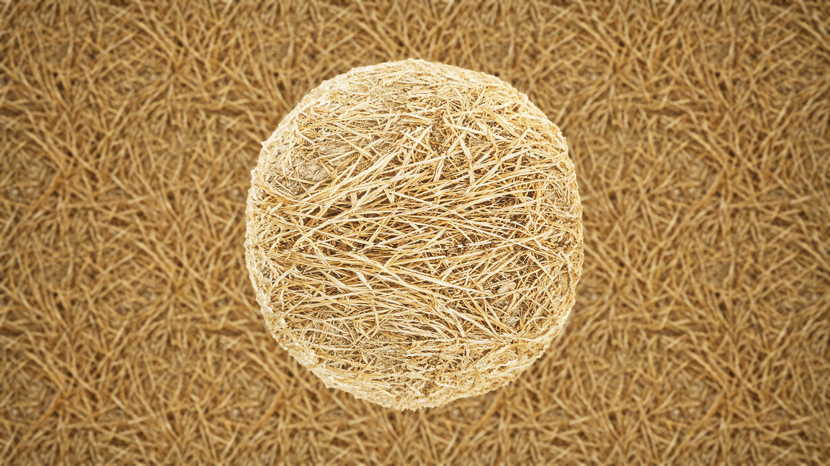 Realistic Materials - Forest Ground 2